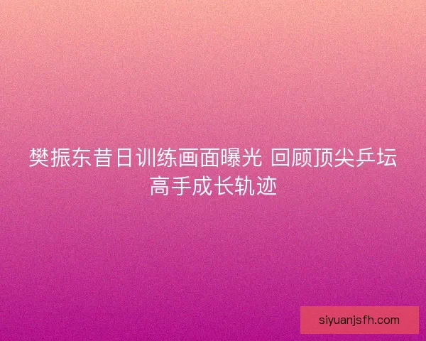 樊振东昔日训练画面曝光 回顾顶尖乒坛高手成长轨迹