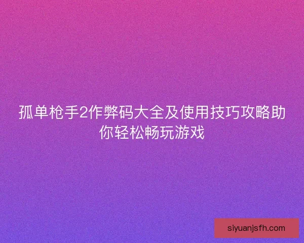 孤单枪手2作弊码大全及使用技巧攻略助你轻松畅玩游戏