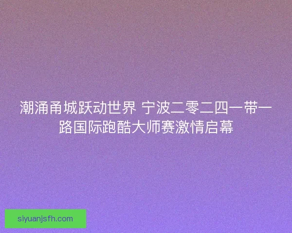 潮涌甬城跃动世界 宁波二零二四一带一路国际跑酷大师赛激情启幕