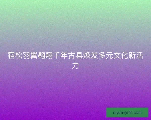 宿松羽翼翱翔千年古县焕发多元文化新活力